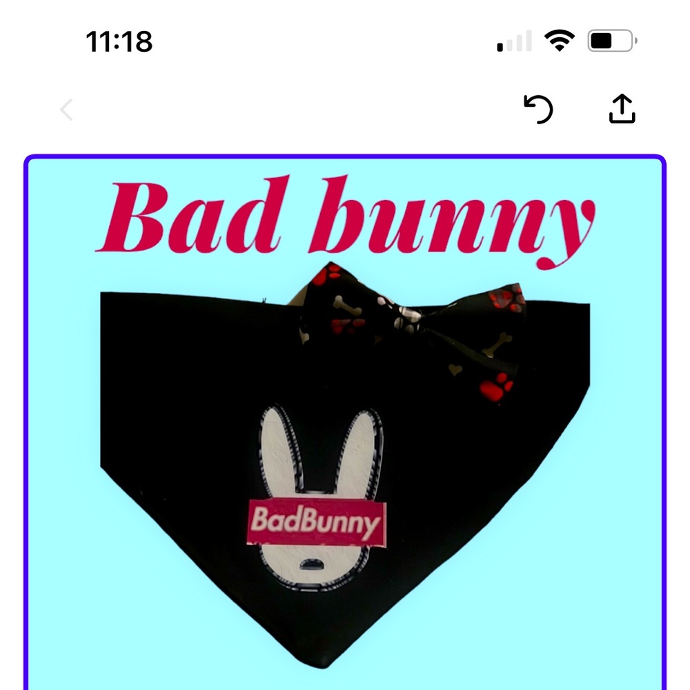 Bad bunny dog wear
